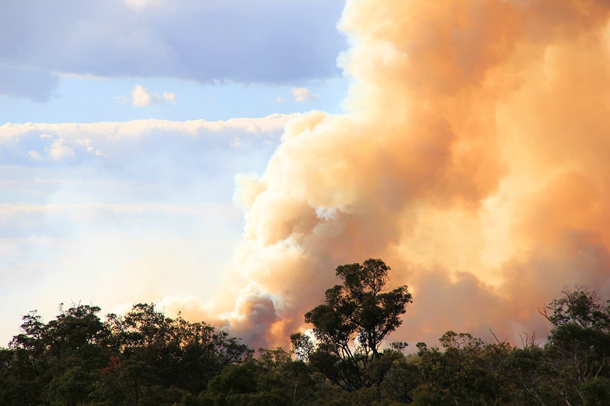 AUNZ emergency info hub bushfire path AUNZ emergency info hub bushfire path