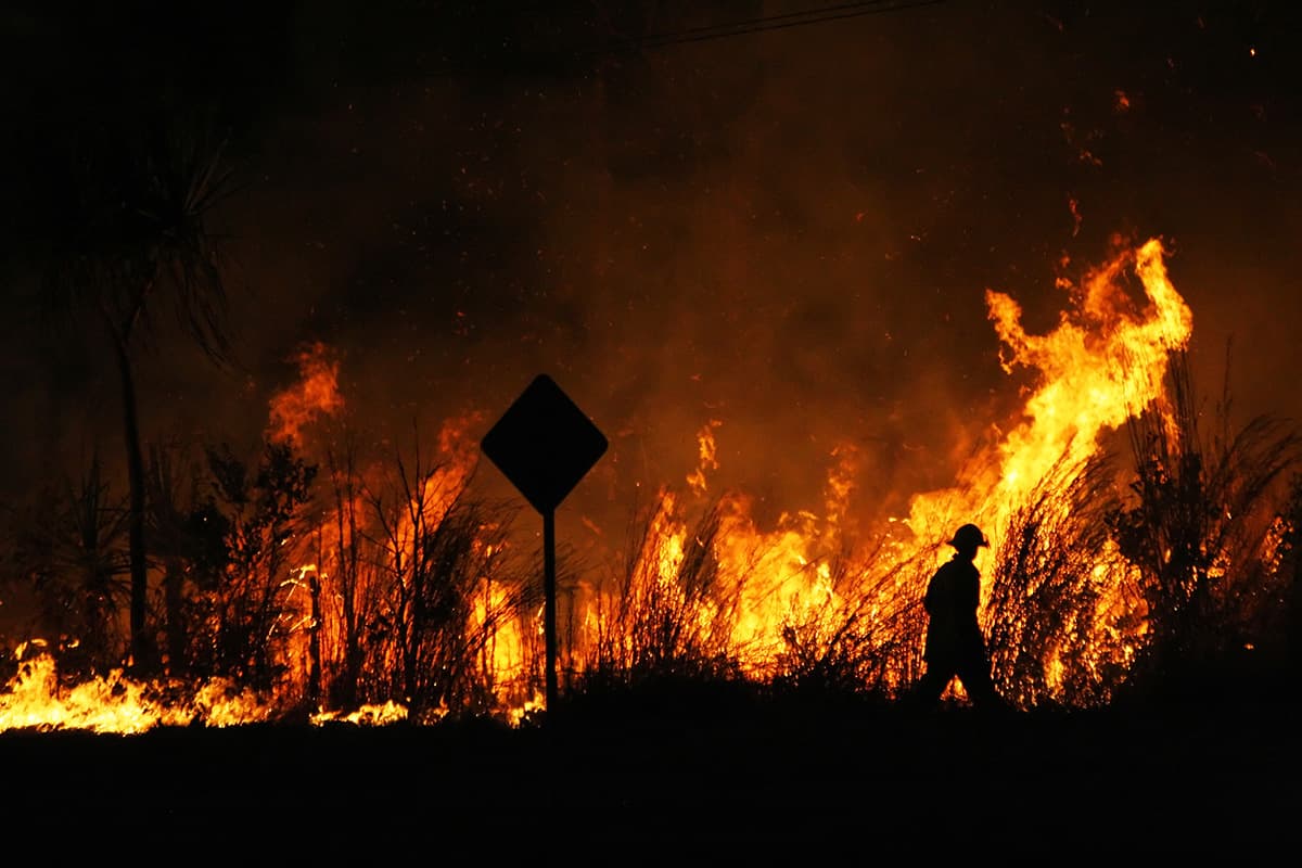 AUNZ: Image - Emergency information hub - Bushfires AUNZ: Image - Emergency information hub - Bushfires