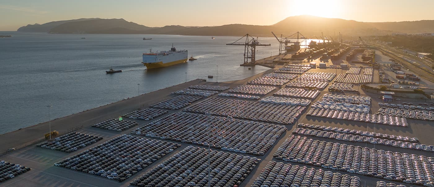 A mega fleet on a large parking lot by the bay at sunset. A mega fleet on a large parking lot by the bay at sunset.